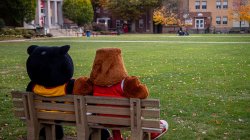 Deacon and Rocky sitting on a bench in the main quad.